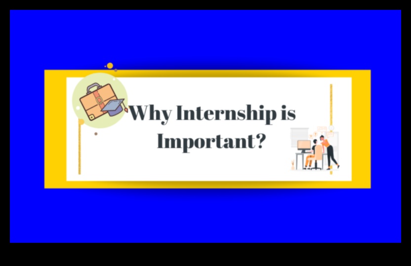 what does a internship mean