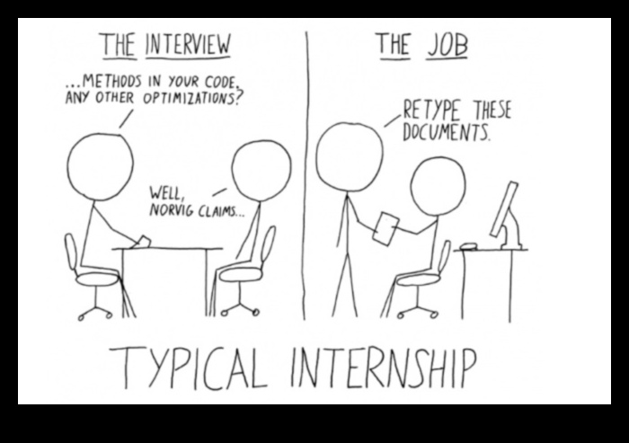 what does a internship mean