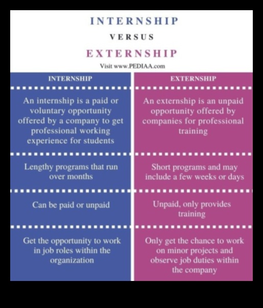 Internship vs. Externship What's the Difference 1